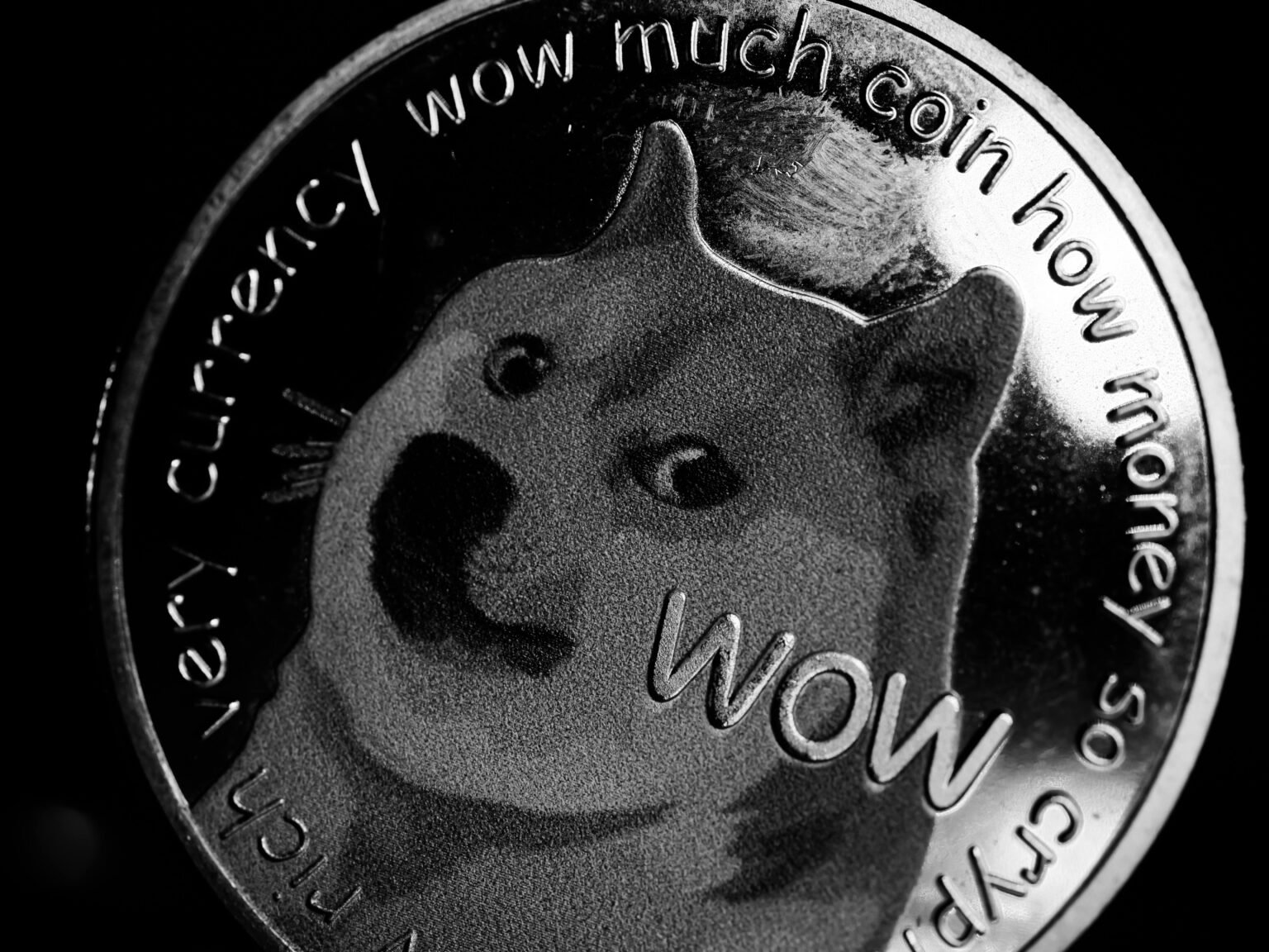 Dogecoin Developer stuurt Scam Alert naar Community, hier is de 411